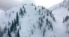 Plenty of snow in B.C. cities, but 2017 snowpack actually below average
