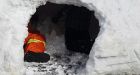 Dog helps save N.S. man, boys in collapsed snow fort