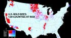 Bee decline threatens US crop production