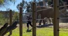 Man arrested after taking daughter into zoo elephant habitat