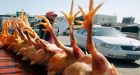 China reports 1st human case of H10N3 bird flu