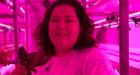 It's harvest time! Yukon's 1st off-grid, no-dirt, hydroponics farming unit produces crops
