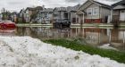 One year later, residents say northeast Calgary still hasn't recovered from devastating hailstorm