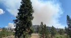 Evacuations continue in B.C.'s Okanagan as fires burn across province | CBC News