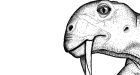 Remains of ancient saber-toothed vegetarian found in Brazil