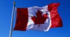 Remembrance Day flags stolen from B.C. legion