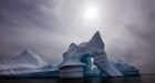 Greenpeace brokers deal to stop some cod fishing expansion | CTV News